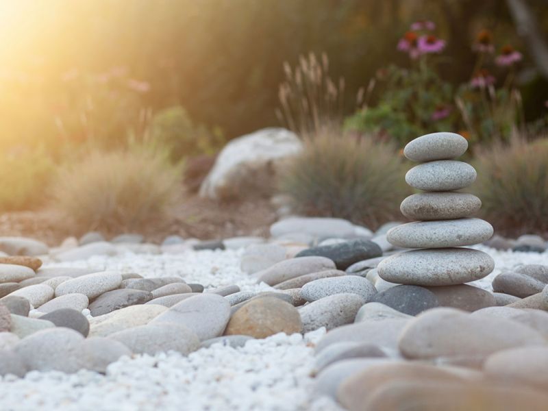 jeune-geneve-se-reposer-jeunant-guerir-microbiote-intermittent-nutrition-sonotherapie-diete-alimentation-jeuner-mediation-yoga-sejours-bains-sonores-spa-etude-chuv-randonnee