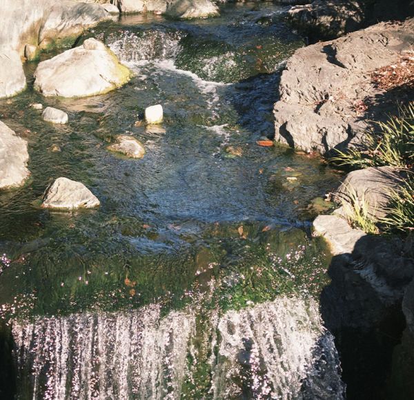 jeune-geneve-se-reposer-jeunant-guerir-microbiote-intermittent-nutrition-sonotherapie-diete-alimentation-jeuner-mediation-yoga-sejours-bains-sonores-spa-etude-chuv-randonnee